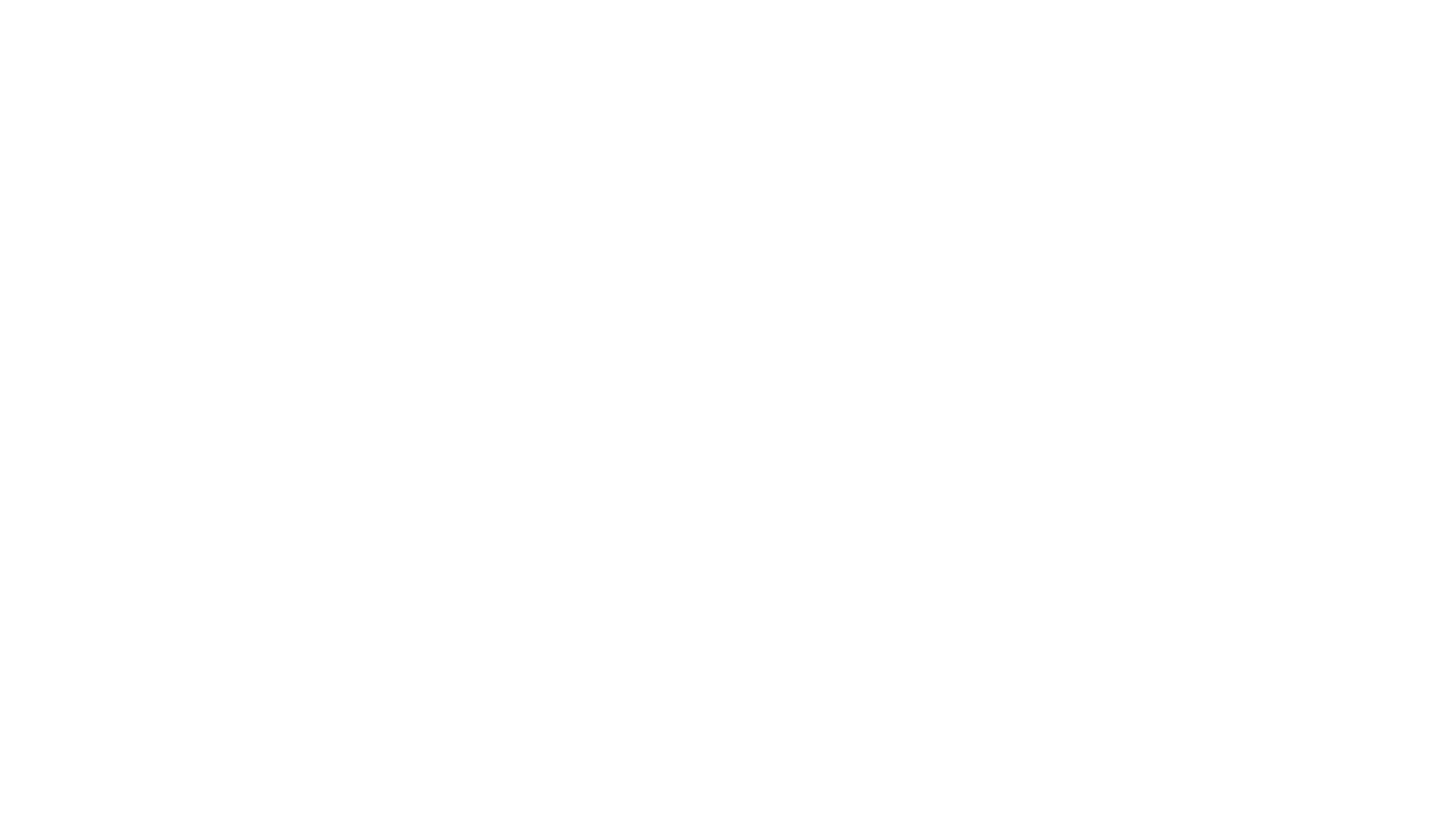 Lytje Willem Logo